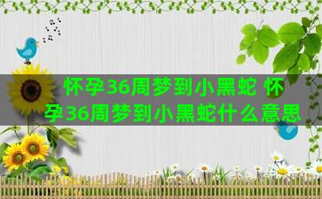 怀孕36周梦到小黑蛇 怀孕36周梦到小黑蛇什么意思